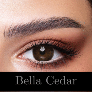 Bella Cedar – Oneday Collection