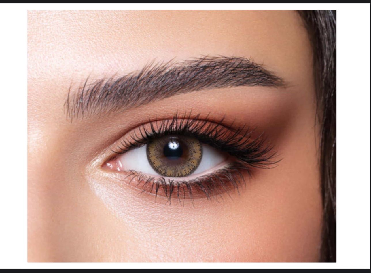 WhatsApp Image 2025-11-04 at 1.02.05 AM